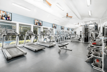 A gym with treadmills, weights, and exercise equipment.