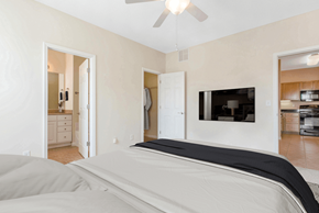 Charlotte apartment for rent - staged bedroom with carpeted flooring and ceiling fan at Ashley Court Apartments, North Carolina, 28262