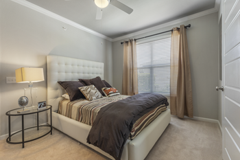 Plush carpeting in bedrooms