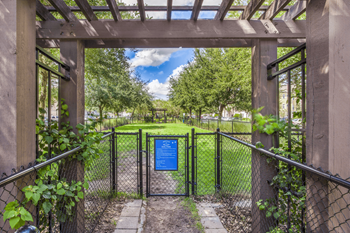 Dog park area