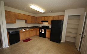 Atlanta apartment for rent - Kitchen with wood cabinets and stainless steel sink and black appliances