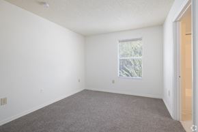 Kissimmee apartment for rent - A room with a carpeted floor and a window with a view of trees.