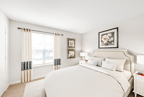 Newport News apartment for rent - a bedroom with a large bed and a large window