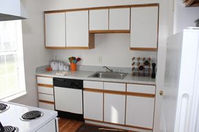 Virginia Beach apartment for rent - White kitchen cabinets with the sink and dishwasher in frame