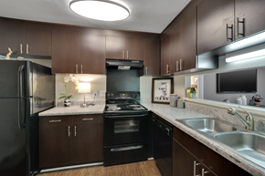 Raleigh apartment for rent - A modern kitchen with dark brown cabinets and black appliances.