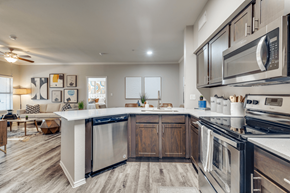 Roanoke apartment for rent - A modern kitchen with dark wood floors and stainless steel appliances.