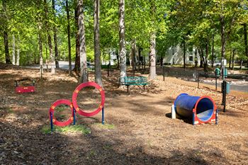 Pet park