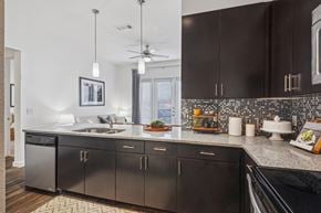 Dallas apartment for rent - A modern kitchen with black cabinets and a stainless steel dishwasher.