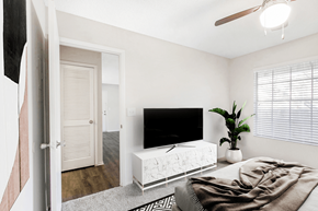 Tampa apartment for rent - a bedroom with a tv on the wall