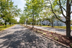 Waldorf apartment for rent - A tree-lined street with apartment buildings in the background.