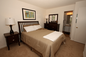 Virginia Beach apartment for rent - a bedroom with a bed and two night stands