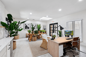 Austin apartment for rent - a home office with a desk and plants in the room