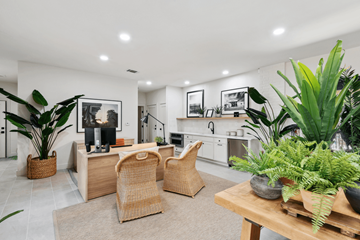 Austin apartment for rent - A modern living room with a kitchen in the background, a dining table with chairs, and potted plants.
