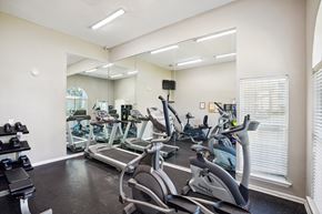Brunswick apartment for rent - A gym with treadmills and elliptical machines.