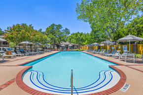 Austin apartment for rent - a resort style pool with lounge chairs and umbrellas