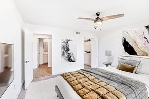 Coral Gables apartment for rent - A bedroom with a large bed and a ceiling fan.