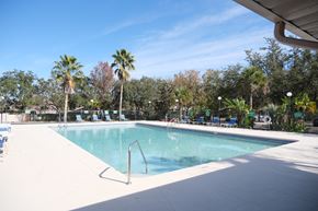 Clermont apartment for rent - A large swimming pool surrounded by palm trees and blue lounge chairs.