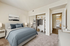 Parker apartment for rent - a bedroom with a bed and a closet
