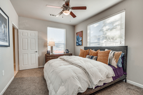 Mansfield apartment for rent - Bedroom facing exterior windows with ceiling fan and dresser next to bed