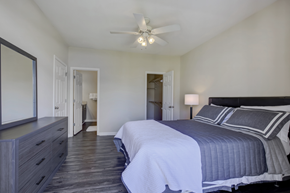 Knoxville apartment for rent - A bedroom with a bed, dresser, and mirror.