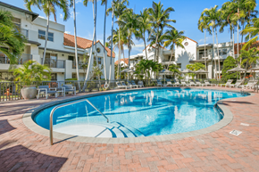 Dania Beach apartment for rent - a resort style swimming pool with lounge chairs and palm trees in the background