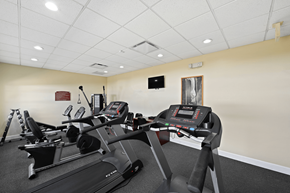 Lakeland apartment for rent - the gym at the enclave at woodbridge apartments in sugar land, tx