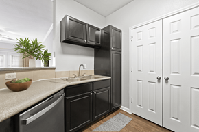 Tyler apartment for rent - a kitchen with black cabinets and a white door