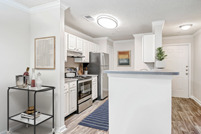 Hermitage apartment for rent - a kitchen with white cabinetry and stainless steel appliances