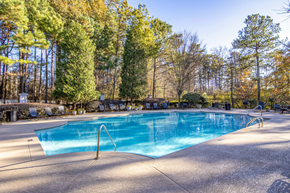 Lawrenceville apartment for rent - a swimming pool with trees in the background