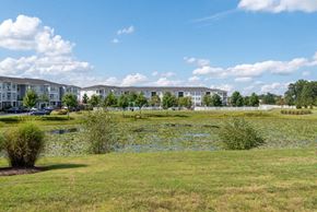 Waldorf apartment for rent - a park with a pond in front of some apartments