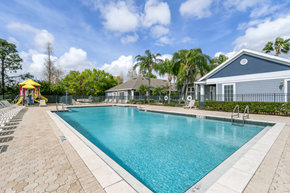 St Petersburg apartment for rent - Swimming pool with lounge chairs and palm trees