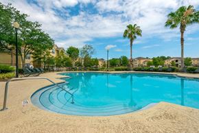 Jacksonville apartment for rent - Swimming Pool Stair with Palm Trees in The Background