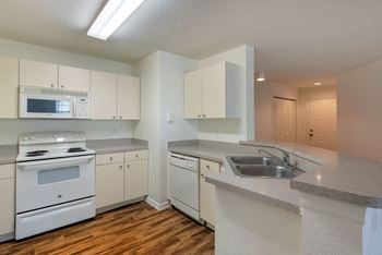 Fully-equipped kitchen with built-in microwave