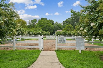 Dog park