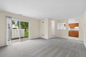 Waldorf apartment for rent - A spacious room with grey carpeting and white walls.