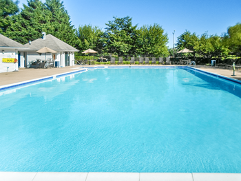 Swimming pool with tanning deck