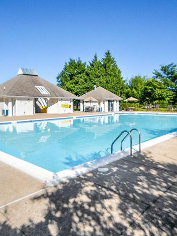 Swimming pool with tanning deck
