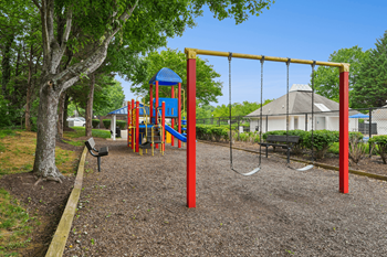 Playground with tire swing