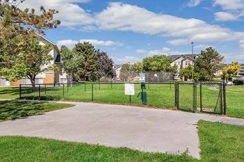 Dog park