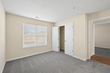 Plush carpeting