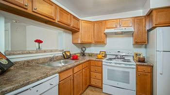 Kitchen with wooden cabinet