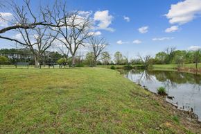 Denton apartment for rent - A grassy field with a pond and trees in the background.