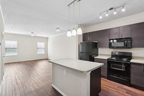 Plant City apartment for rent - A kitchen with a black refrigerator, black oven, and black microwave.