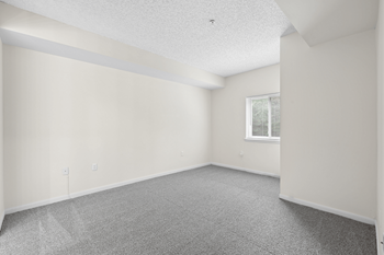 Plush carpeting