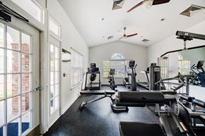 Hermitage apartment for rent - fitness center with equipment
