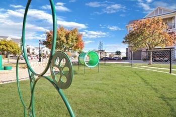 Paw & play dog park