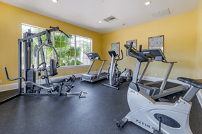 Sanford apartment for rent - the gym at the shiloh green apartments in kennesaw, ga