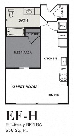 Floor plan for studio, 1 bath, 556 sqft