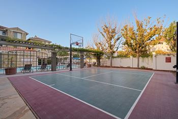 Basketball court