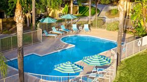Azusa apartment for rent - A pool surrounded by palm trees and lounge chairs.
